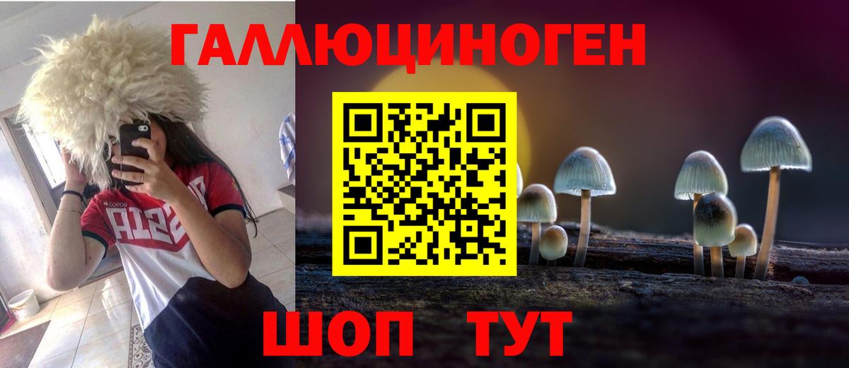 Галлюциногенные грибы Magic Shrooms  Вход с VPN  Псилоцибиновые грибы мицелий  Элиста 